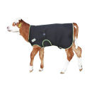 Kälberdecke Premium - Rückenlänge 70cm