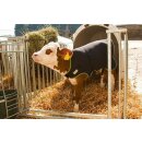 Kälberdecke Premium - Rückenlänge 70cm