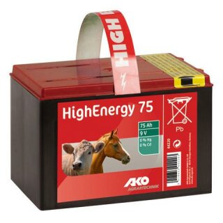 High Energy Saline 9V Trockenbatterie mit Trageband