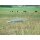 Temperaturausgleichsfeder - 44705 Länge 435 mm, Durchm. Feder 43mm, Edelstahl