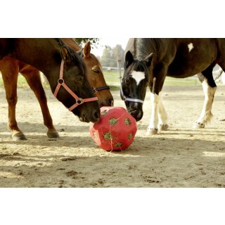 AKTION HeuBoy - Heuball - Futterspielball - Spielball für Pferde/Schafe/Ziegen blau