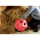 AKTION HeuBoy - Heuball - Futterspielball - Spielball für Pferde/Schafe/Ziegen blau