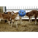 AKTION HeuBoy - Heuball - Futterspielball - Spielball für Pferde/Schafe/Ziegen rot