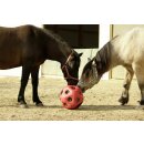 AKTION HeuBoy - Heuball - Futterspielball - Spielball für Pferde/Schafe/Ziegen rot