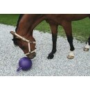 Pferdespielball