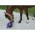 Pferdespielball
