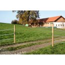 Elektro Viehschranke Electro Gate