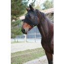 Fliegenmaske mit Ohrenaussparung - Warmblut