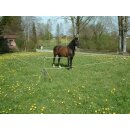 AKO Wanderreiterset - Versandkostenfrei