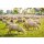 AKO TopLine Net - Schafzaun TopLine Net 108 cm, Doppelspitze, 50m