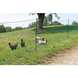 PoultryNet grün elektrifizierbar, 25m, Doppelspitze, grün, 112cm