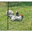 PoultryNet grün - Geflügelnetz -...