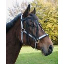 Fliegen-Fransenband - Warmblut-blau