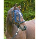 Fliegen-Fransenband - Warmblut-blau
