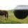 Bremsenfalle TaonX - Wirkungsbereich ca. 10.000 m²