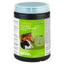 Buchenholzteer TarPaste - 1 Kg