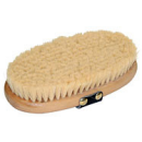 Pferdekardätsche Brush & Co