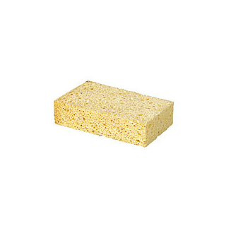 Schwamm