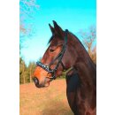 Kappzaum Leder Exclusiv - Warmblut