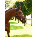Longierhalfter Kunststoff - Warmblut
