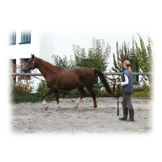 Longierleine mit Handschlaufe - 7,5m