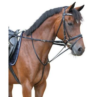 Thiedemannzügel - Warmblut
