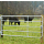 Patura Weidetor 4,00-5,00m ausziehbar, Höhe 1,10m, inkl. Montageset - zzgl. Fracht