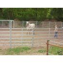 Longierzirkel Round Pan / Round Pen mit Equifarm´s...