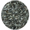 Sonnenblumenkerne gestreift - 25 Kg Sack