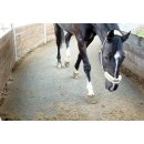 Gummimatten Belmondo Horse Walker - für die Führanlage