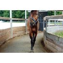 Gummimatten Belmondo Horse Walker - für die Führanlage