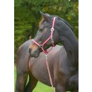 Halfter "Hippo" marine/hellblau Größe 0 Shetlandpony (P1)