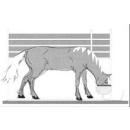 Futterstand / Futterstände / Fressstand