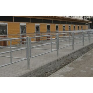 Zaun für Paddocks aus 2" starken Rohren