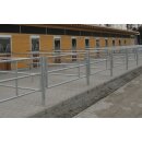 Zaun für Paddocks aus 2" starken Rohren