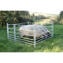 AKO Steckhorden - im Set - 3x 1,83m + 1x 1,83m mit Tor -...