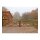 Holz-Weidetor "Sussex" - ALS DOPPELTOR - versch. Größen