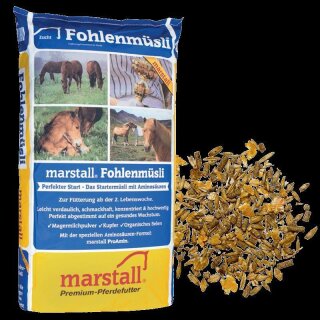 Marstall Fohlenmüsli - Das Starter-Müsli - Pferdefutter - 20 Kg