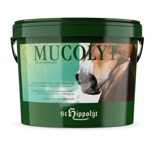 St. Hippolyt - Mucolyt Atemwegskur - große Kräutervielfalt - Pferdefutter