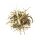 Agrobs - Pre Alpin Aspero - Die besondere Struktur - Pferdefutter - 20 Kg