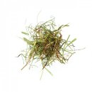 Agrobs - Alpenheu - Premium-Heu für Pferde -...