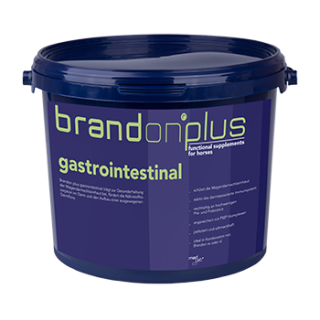 St. Hippolyt - Brandon plus Gastrointestinal - Schutz für Magen- und Darmschleimhaut - 3 Kg Eimer
