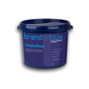 St. Hippolyt - Brandon plus Respiraticum - Bei...