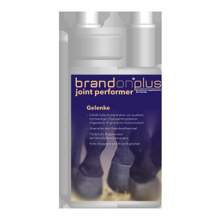 St. Hippolyt - Brandon plus Joint Performer - Zur Unterstützung der Gelenke - 1,2 L Flasche