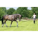 Longier- und Trainingssystem -  Vollblut/Warmblut