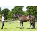Longier- und Trainingssystem -  Vollblut/Warmblut