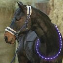 LED Halsring - Leuchthalsring für Pferde grün