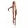 Westerntrense Kopfstück - HEADSTALL W./ CHECKER TOOLING