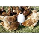 Futterautomat für Hühner / Geflügel - Lebensmittelecht - Kunststoff ca. 2,5 Kg Fassungsvermögen