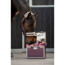 Groomingbox SHINY - Putzbox - Putzkiste - verschiedene Farben